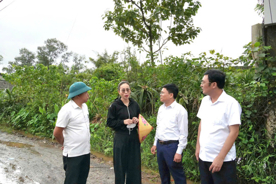 Các đồng chí lãnh đạo phường Vũng Áng kiểm tra công tác kiểm đếm, tuyên truyền, vận động Nhân dân trên địa bàn Tổ dân phố Trường Yên. 