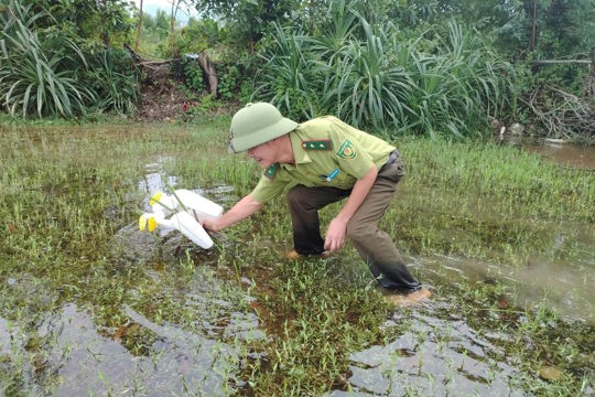 Công an phường Vũng Áng kiểm tra, thu giữ, tiêu hủy bẫy chim trời.