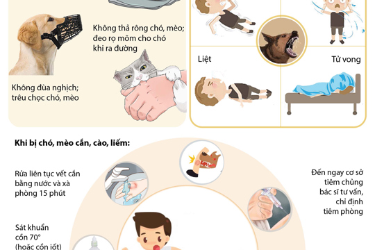 Tăng cường công tác quản lý nuôi chó, mèo , phòng chống bệnh dại trên địa bàn.
