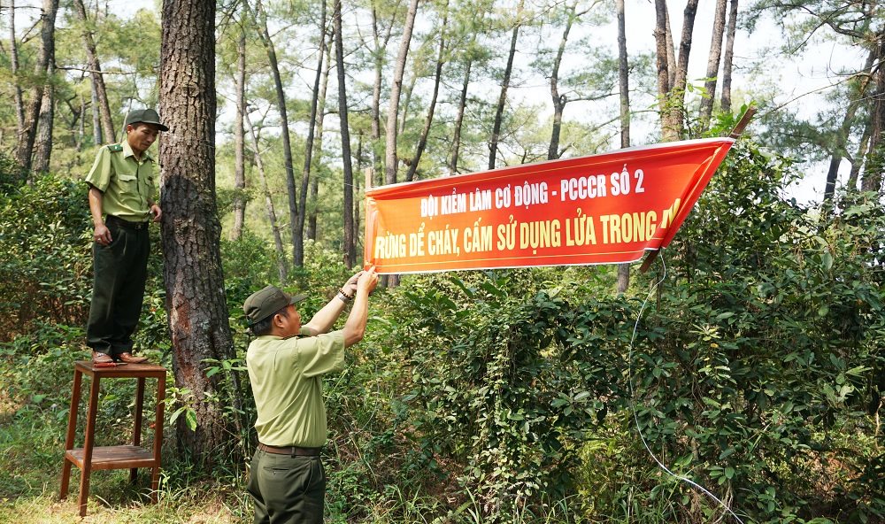 ĐẢM BẢO AN TOÀN PHÒNG CHÁY RỪNG   TRƯỚC, TRONG VÀ SAU TẾT NGUYÊN ĐÁN BÍNH NGỌ NĂM 2026  
